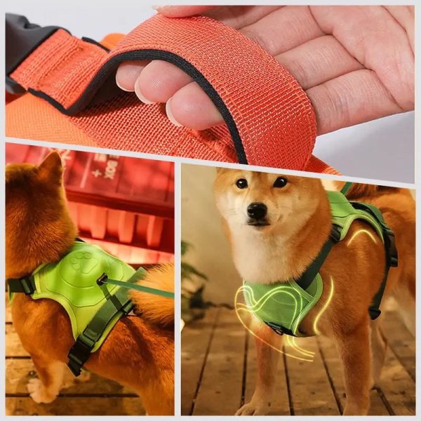 Retractable Dog Leash With No-Pull Harness