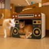 Retro Cat House And Scratcher
