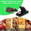 Reusable Mouse Trap