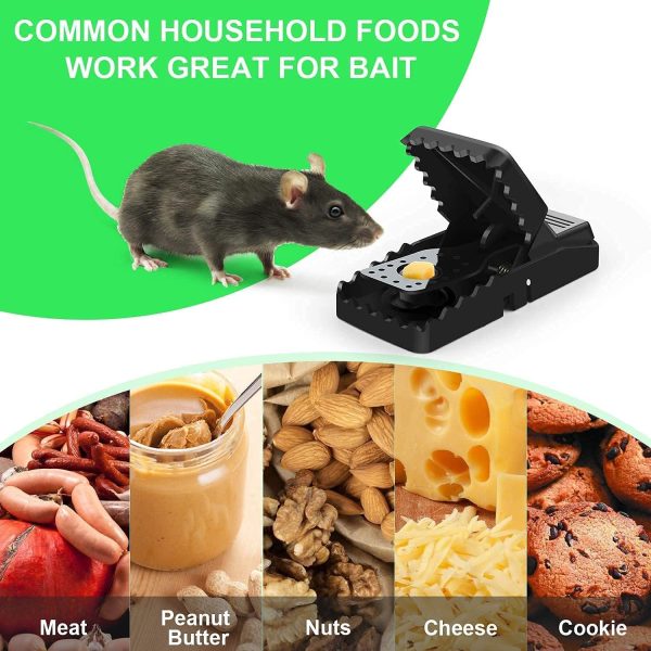 Reusable Mouse Trap