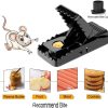 Reusable Mouse Trap