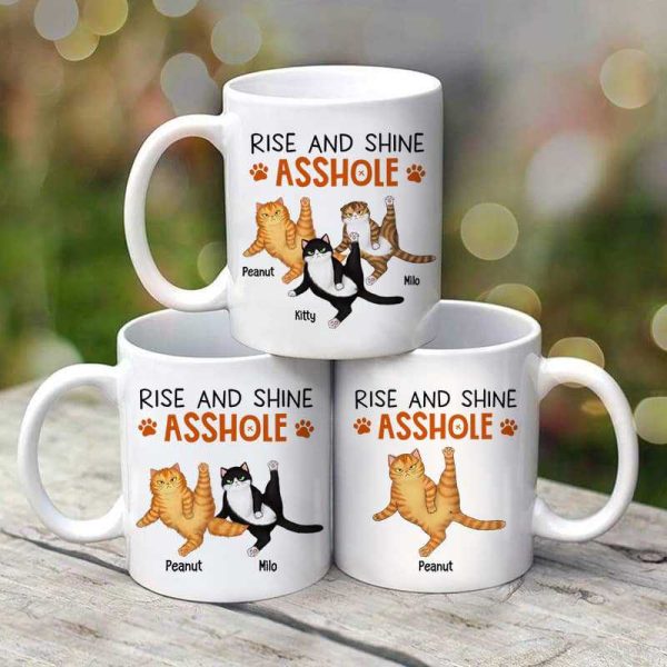Rise And Shine Sassy Fluffy Cats Personalized Mug
