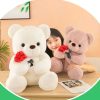 Romantic Teddy Bear with Roses Plush Soft Stuffed Doll Gift Romantic Teddy Bear with Roses Plush Soft Stuffed Doll Gift