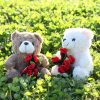 Rose Bear Plush Desk Ornament