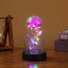 Rose Flower Light