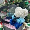 Rose Flower Teddy Bear 25cm Romantic Gift with Box Rose Flower Teddy Bear 25cm Romantic Gift with Box
