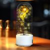 Rose Flowers Led Light And Bluetooth Speaker Rose Flowers Led Light And Bluetooth Speaker