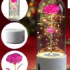 Rose Flowers Led Light And Bluetooth Speaker Rose Flowers Led Light And Bluetooth Speaker