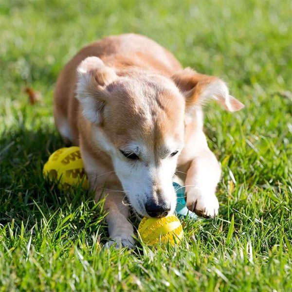 Rubber Toy Ball for Dogs