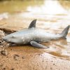 Sea Life Animals Soft Action Figures