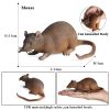 Sea Life Animals Soft Action Figures