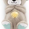 Serenity Slumber Otter