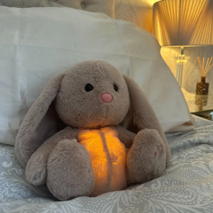 Sleepy Bunny Plush Toy