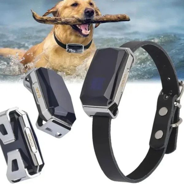 Smart Pet Tracker Collar With Sim Card Slot Smart Pet Tracker Collar With Sim Card Slot