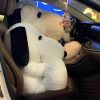 Snoopy Plush Pillow Soft Cuddly Character Doll