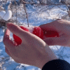 Snow Ball Maker Snow Ball Maker