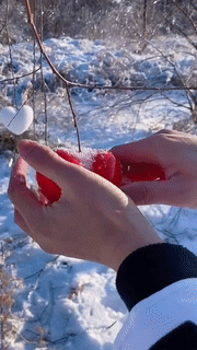Snow Ball Maker Snow Ball Maker