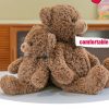 Soft Cuddle Teddy Bear Plush Pillow Soft Cuddle Teddy Bear Plush Pillow