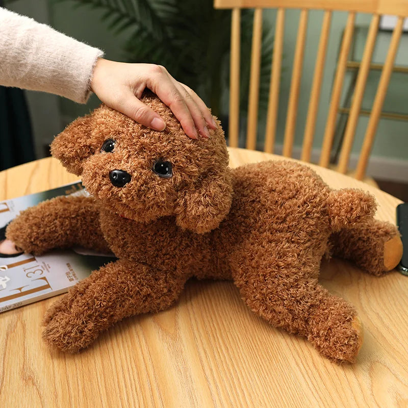 Stuffed Animals