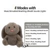 Soothing Elephant Plush Toy with Music & Light