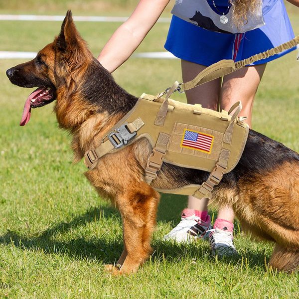 Tactical Military Dog Harness Set - Vest, Leash, Pouches Tactical Military Dog Harness Set - Vest, Leash, Pouches