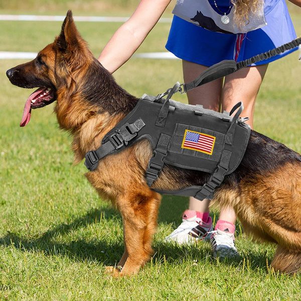Tactical Military Dog Harness Set - Vest, Leash, Pouches Tactical Military Dog Harness Set - Vest, Leash, Pouches