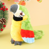 Talking and Music Playing Parrot Kids Toy Talking and Music Playing Parrot Kids Toy