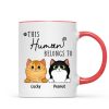 This Human Belongs To Fluffy Cats Personalized Mug This Human Belongs To Fluffy Cats Personalized Mug