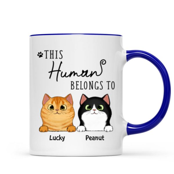This Human Belongs To Fluffy Cats Personalized Mug This Human Belongs To Fluffy Cats Personalized Mug