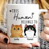This Human Belongs To Fluffy Cats Personalized Mug This Human Belongs To Fluffy Cats Personalized Mug