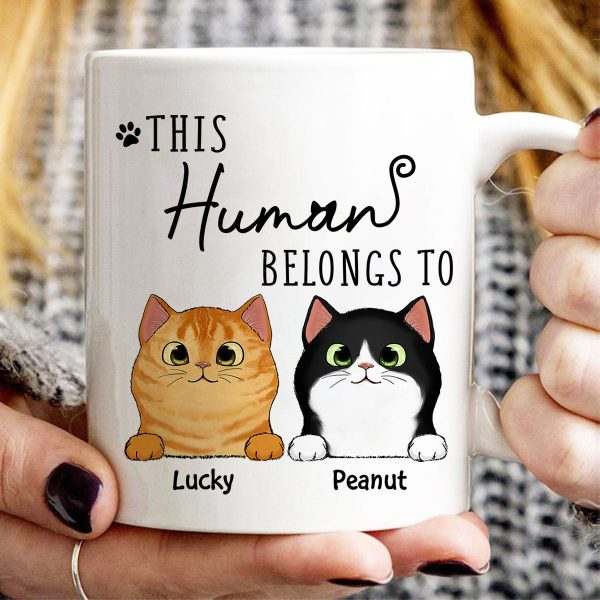 This Human Belongs To Fluffy Cats Personalized Mug This Human Belongs To Fluffy Cats Personalized Mug