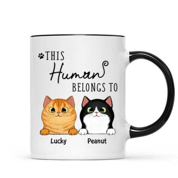 This Human Belongs To Fluffy Cats Personalized Mug This Human Belongs To Fluffy Cats Personalized Mug