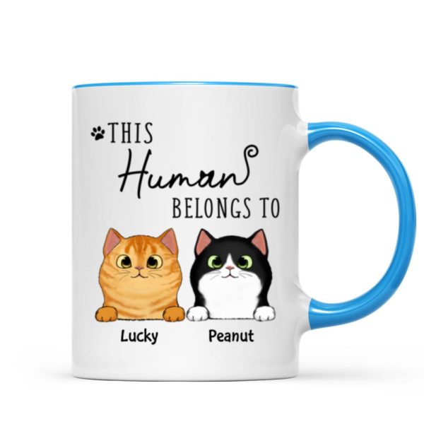 This Human Belongs To Fluffy Cats Personalized Mug This Human Belongs To Fluffy Cats Personalized Mug