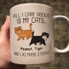 Walking Fluffy Cats Gift For Cat Lovers Personalized Mug Walking Fluffy Cats Gift For Cat Lovers Personalized Mug