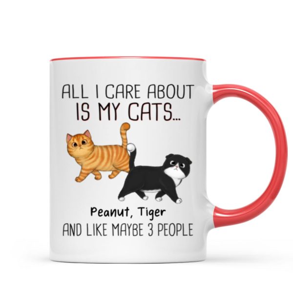 Walking Fluffy Cats Gift For Cat Lovers Personalized Mug Walking Fluffy Cats Gift For Cat Lovers Personalized Mug