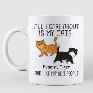 Walking Fluffy Cats Gift For Cat Lovers Personalized Mug