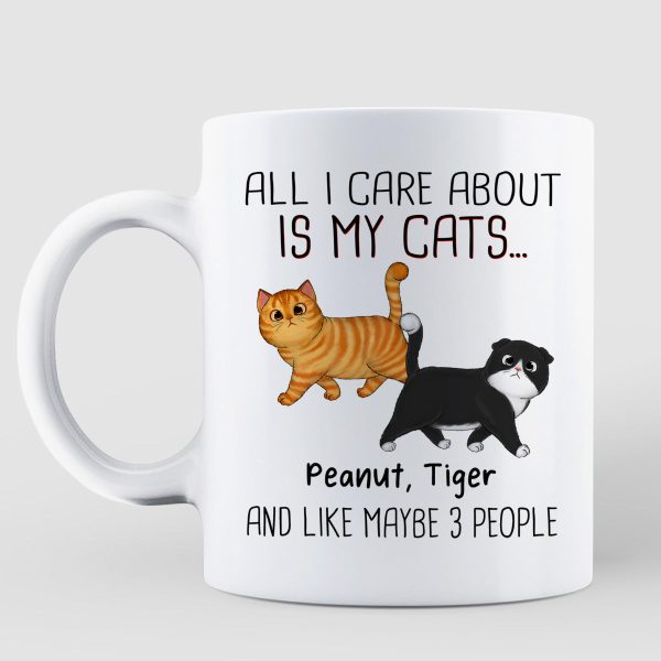 Walking Fluffy Cats Gift For Cat Lovers Personalized Mug Walking Fluffy Cats Gift For Cat Lovers Personalized Mug