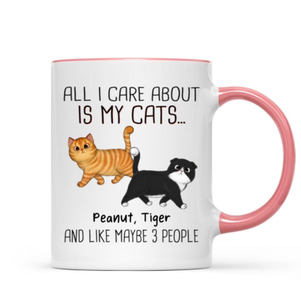 Walking Fluffy Cats Gift For Cat Lovers Personalized Mug Walking Fluffy Cats Gift For Cat Lovers Personalized Mug