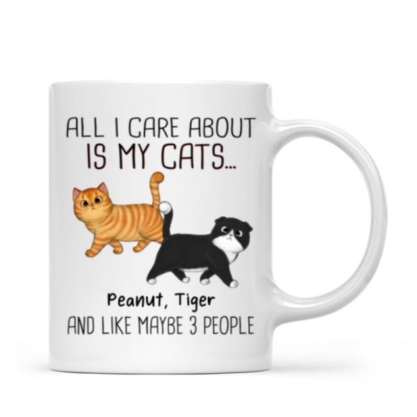 Walking Fluffy Cats Gift For Cat Lovers Personalized Mug Walking Fluffy Cats Gift For Cat Lovers Personalized Mug