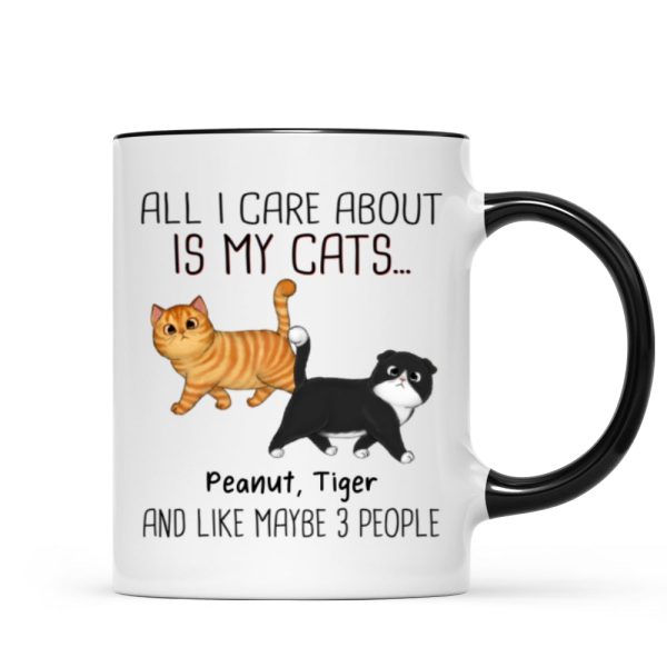 Walking Fluffy Cats Gift For Cat Lovers Personalized Mug Walking Fluffy Cats Gift For Cat Lovers Personalized Mug