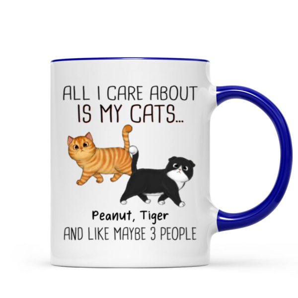 Walking Fluffy Cats Gift For Cat Lovers Personalized Mug Walking Fluffy Cats Gift For Cat Lovers Personalized Mug