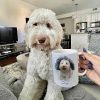 Watercolor Pet Portrait Using Photo Personalized Mug, Unique Gift For Pet Owners, Thoughtful Pet Memorial Gift Watercolor Pet Portrait Using Photo Personalized Mug, Unique Gift For Pet Owners, Thoughtful Pet Memorial Gift