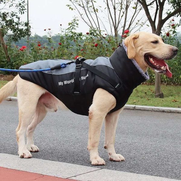 Waterproof Jacket for Dogs Waterproof Jacket for Dogs