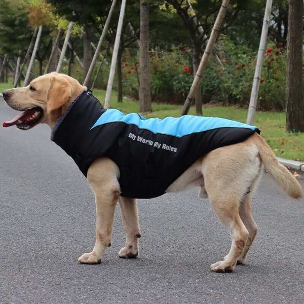 Waterproof Jacket for Dogs Waterproof Jacket for Dogs